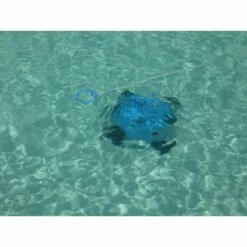 Orca 50CL, Automatischer Bodensauger Mit Akku, Bis 80m² -Deutschland Schwimmbad Verkaufs-Shop 107103 ORCA 050CL Poolroboter 07